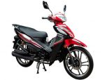 LONCIN LX110-12A
