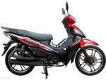 LONCIN LX110-12A - Зображення 2
